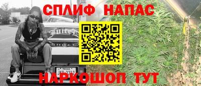 ешки Камышлов