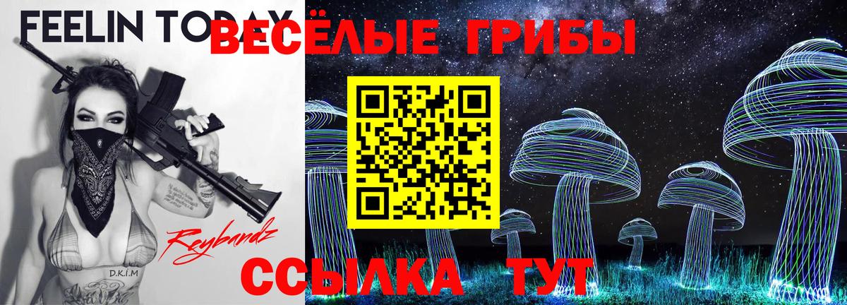 Псилоцибиновые грибы GOLDEN TEACHER Буйнакск