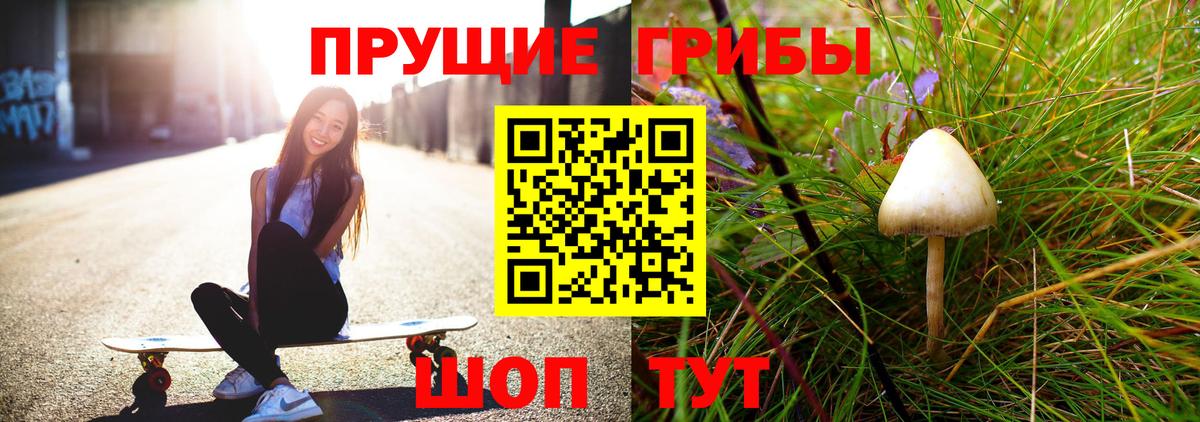 Буйнакск  Псилоцибиновые грибы Psilocybe  магазин продажи наркотиков  Вход с VPN 